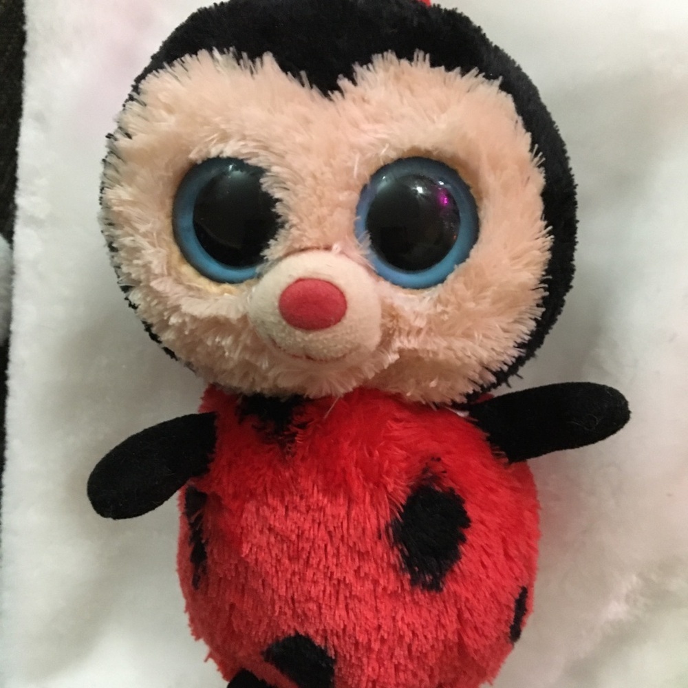 Ty Plush Ladybug with Red and Black Spots